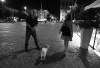 Terni at night