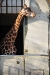 London Zoo